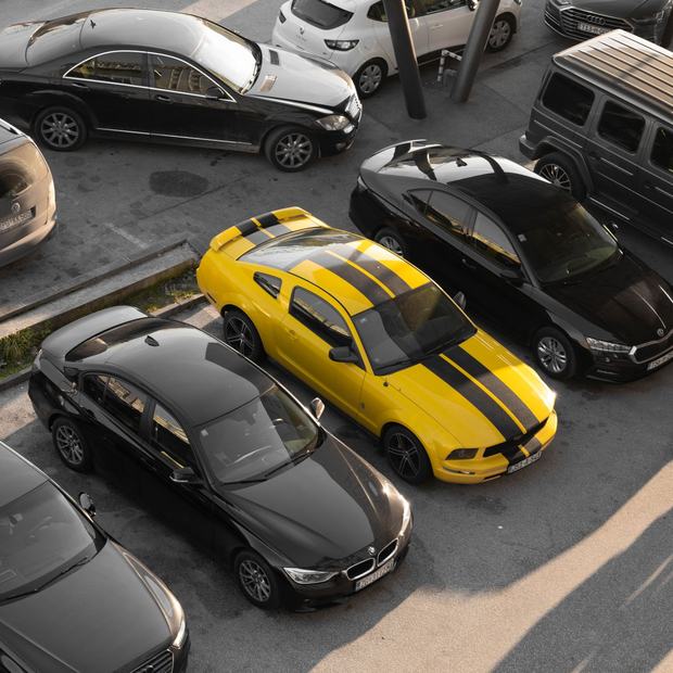 Rows of vehicles parked in a yard